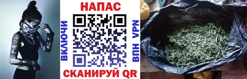 Бошки Шишки Михайловск