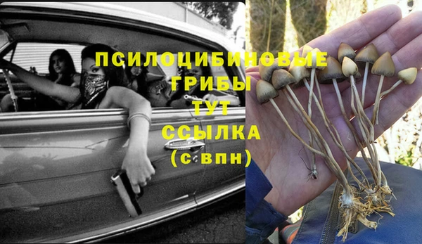 кристаллы Алзамай