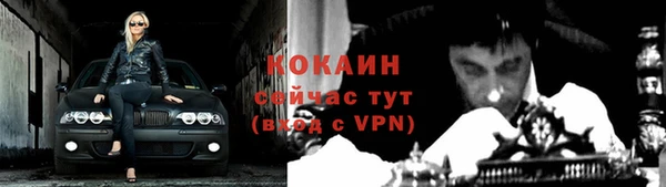 трава Осинники