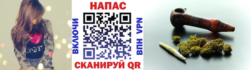 Канабис OG Kush  наркота  Михайловск 